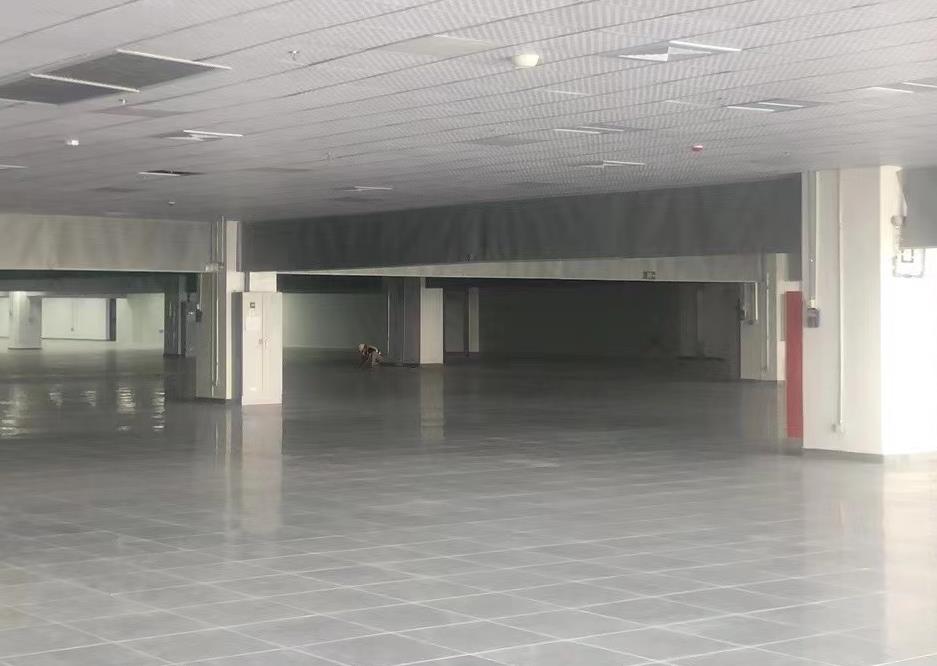 1685288432151505.jpg 1685288432151505.jpg